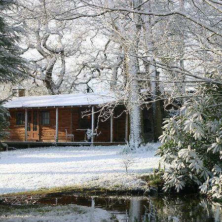 Parc-Le-Breos House Bed & Breakfast Penclawdd Exterior photo